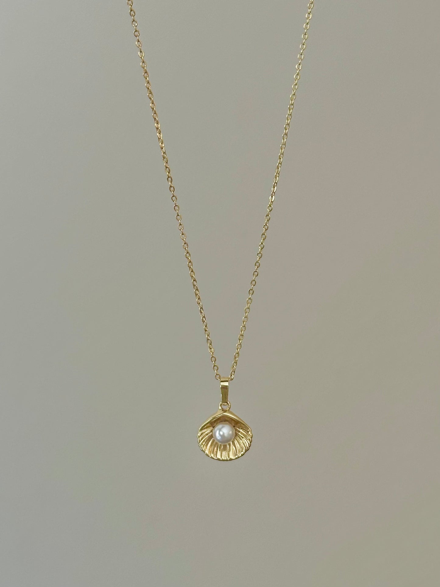 gold filled shell necklace