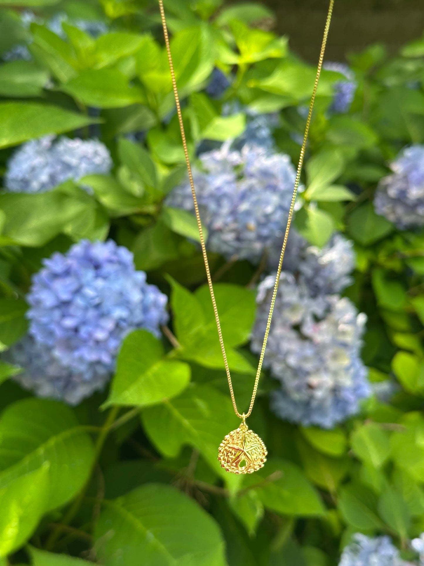 sand dollar gold filled necklace